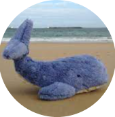 Logo de La Baleine Bleue
